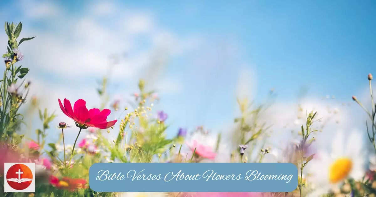 Bible Verses About Flowers Blooming