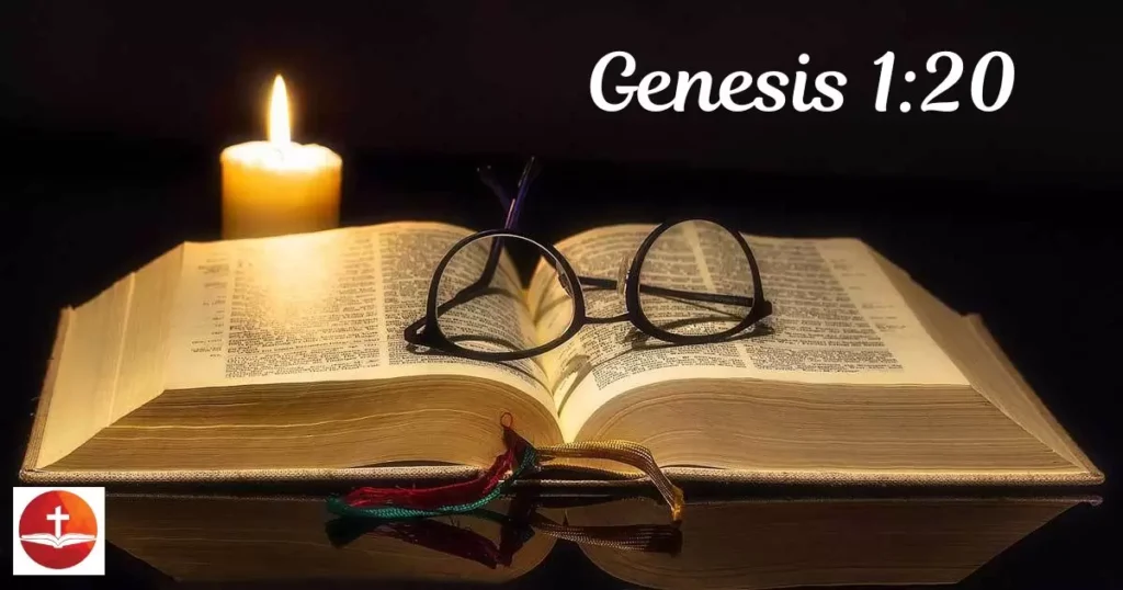 Genesis 1:20