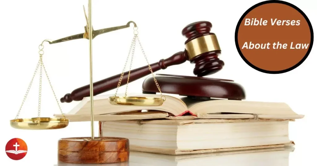 Bible Verses About the Law