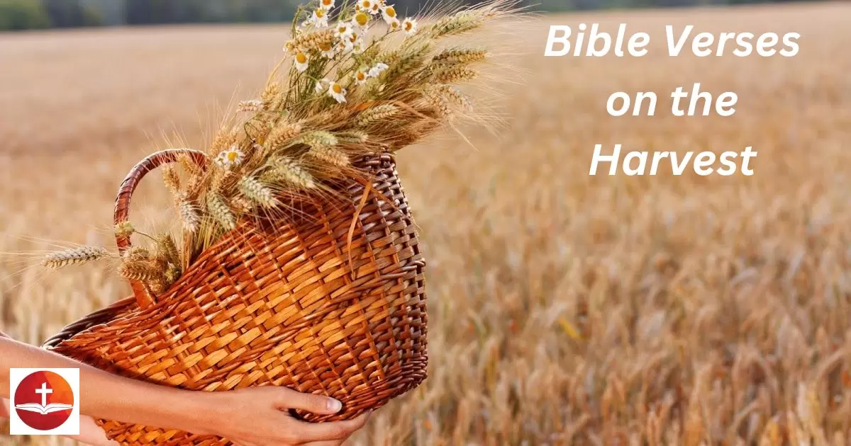 Bible Verses on the Harvest