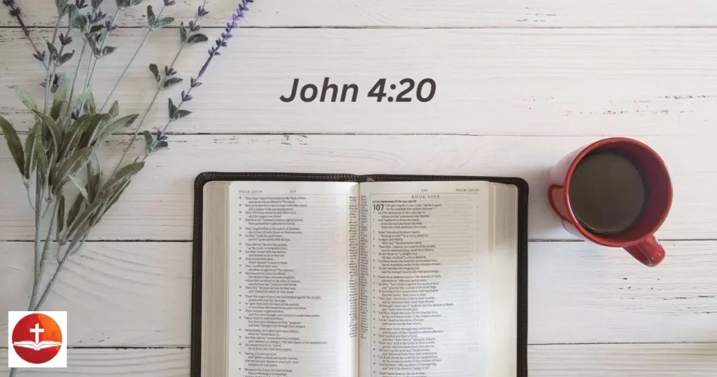 John 4:20