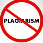 About Plagiarism