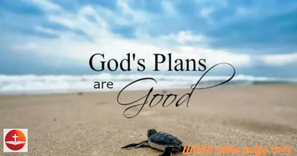 Trust Gods Plan For You